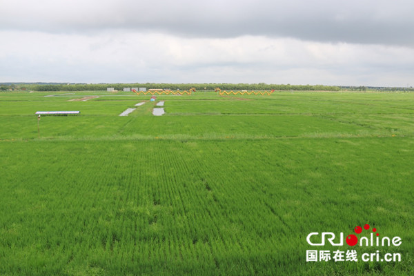 宁夏蔬菜富硒标准（富硒蔬菜硒含量国家标准）-硒宝网