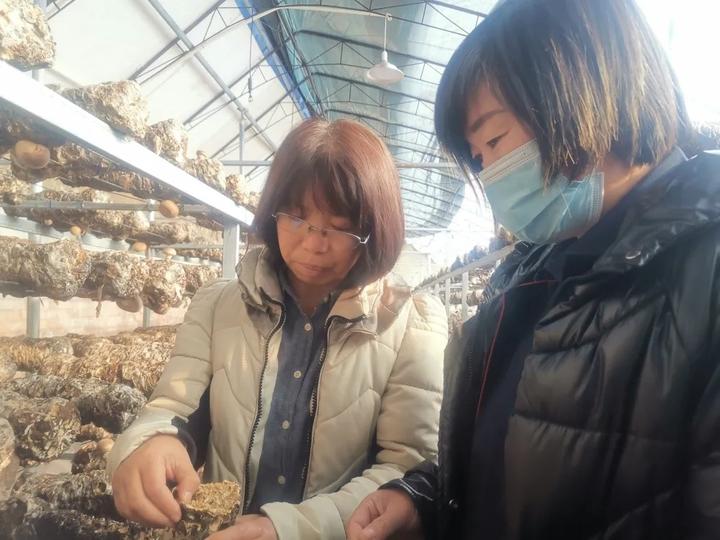 富硒蔬菜大棚基地(蔬菜大棚示范基地)-硒宝网