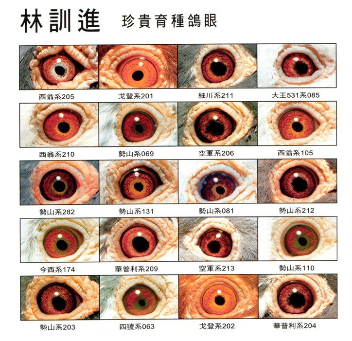 北京富硒有机蔬菜(富硒蔬菜多少钱一斤)-硒宝网