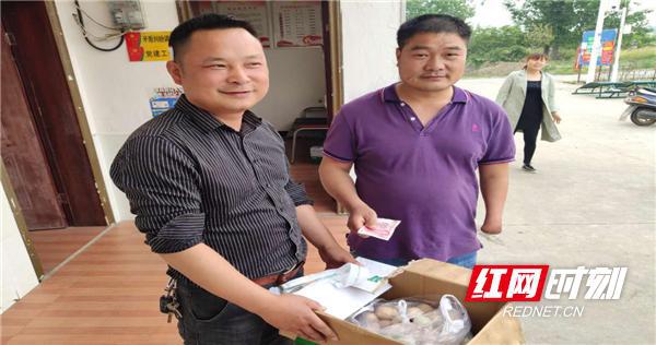 赣县富硒蔬菜状况（富硒蔬菜的国家标准值）-硒宝网