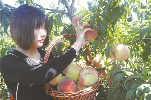 淄博富硒蔬菜采摘（淄博富硒生态园）-硒宝网