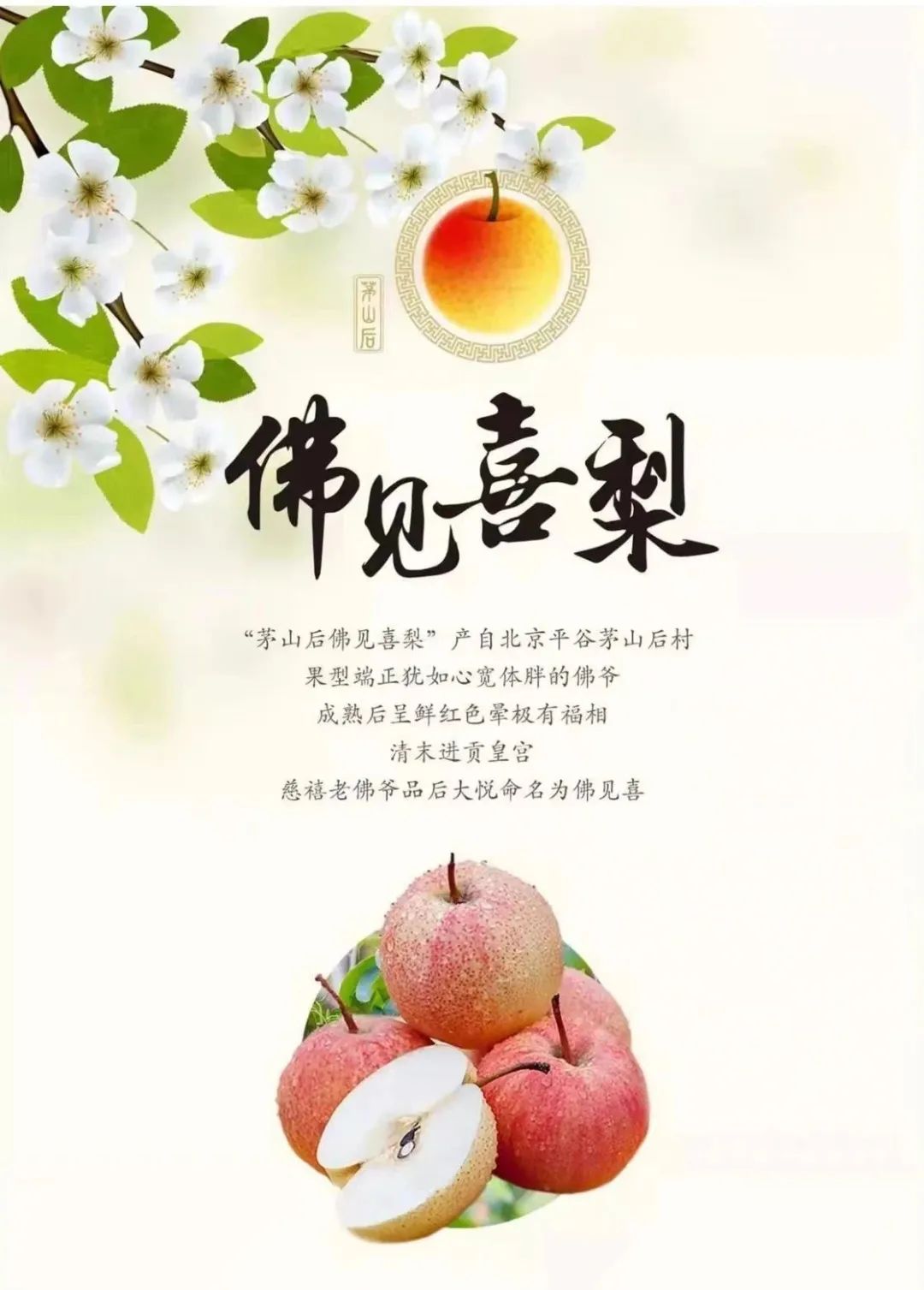 富硒有机蔬菜好处（蔬菜硒含量高的菜有哪些）-硒宝网