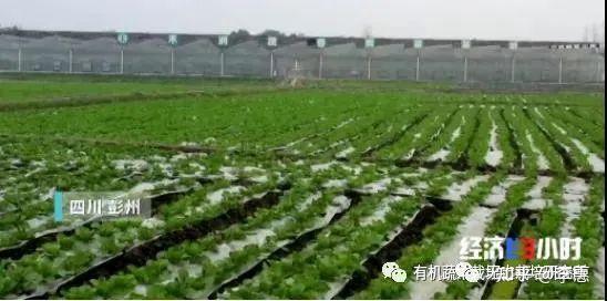 青海平安富硒蔬菜(青海硒源富硒农牧开发有限公司)-硒宝网