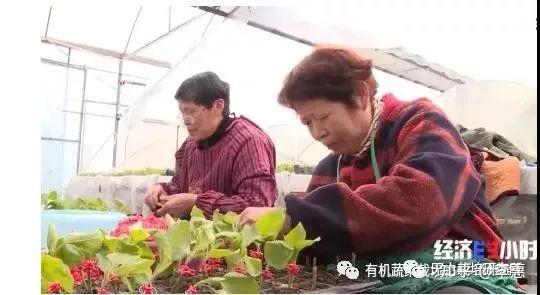 青海平安富硒蔬菜(青海硒源富硒农牧开发有限公司)-硒宝网