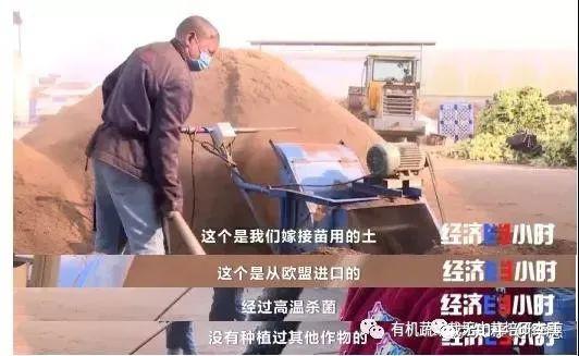 青海平安富硒蔬菜(青海硒源富硒农牧开发有限公司)-硒宝网