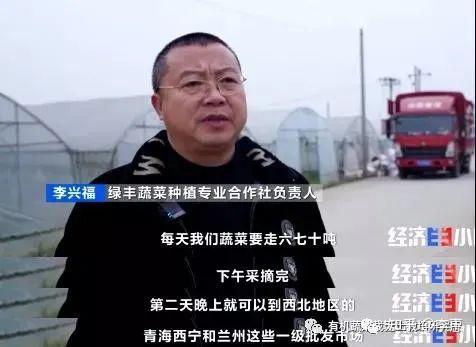 青海平安富硒蔬菜(青海硒源富硒农牧开发有限公司)-硒宝网