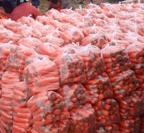 有机富硒蔬菜采摘(采摘蔬菜机富硒有哪些品种)-硒宝网