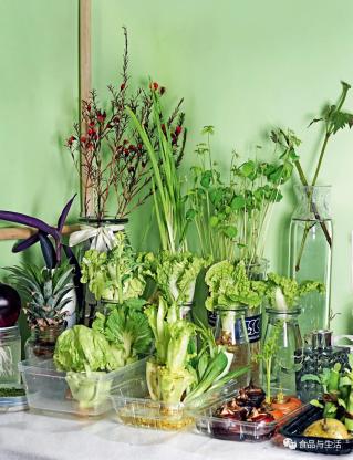富硒水培蔬菜盆景（蔬菜盆景水培富硒的作用）-硒宝网