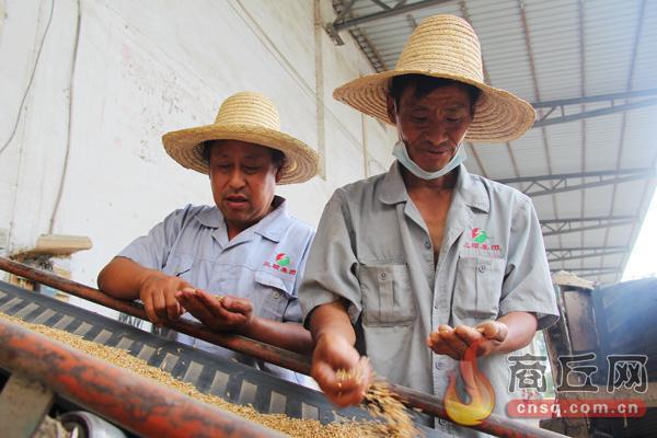 富硒食品蔬菜粮食（富硒粮食对人体的好处）-硒宝网