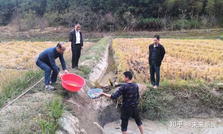 富硒蔬菜项目总结（富硒蔬菜是不是非法集资）-硒宝网