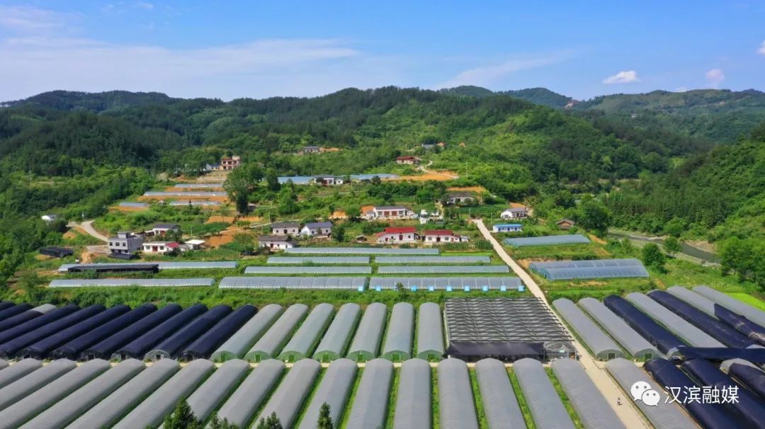 石狮富硒蔬菜工厂(富硒食品批发)-硒宝网