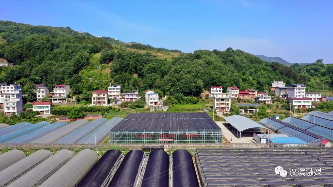 石狮富硒蔬菜工厂(富硒食品批发)-硒宝网