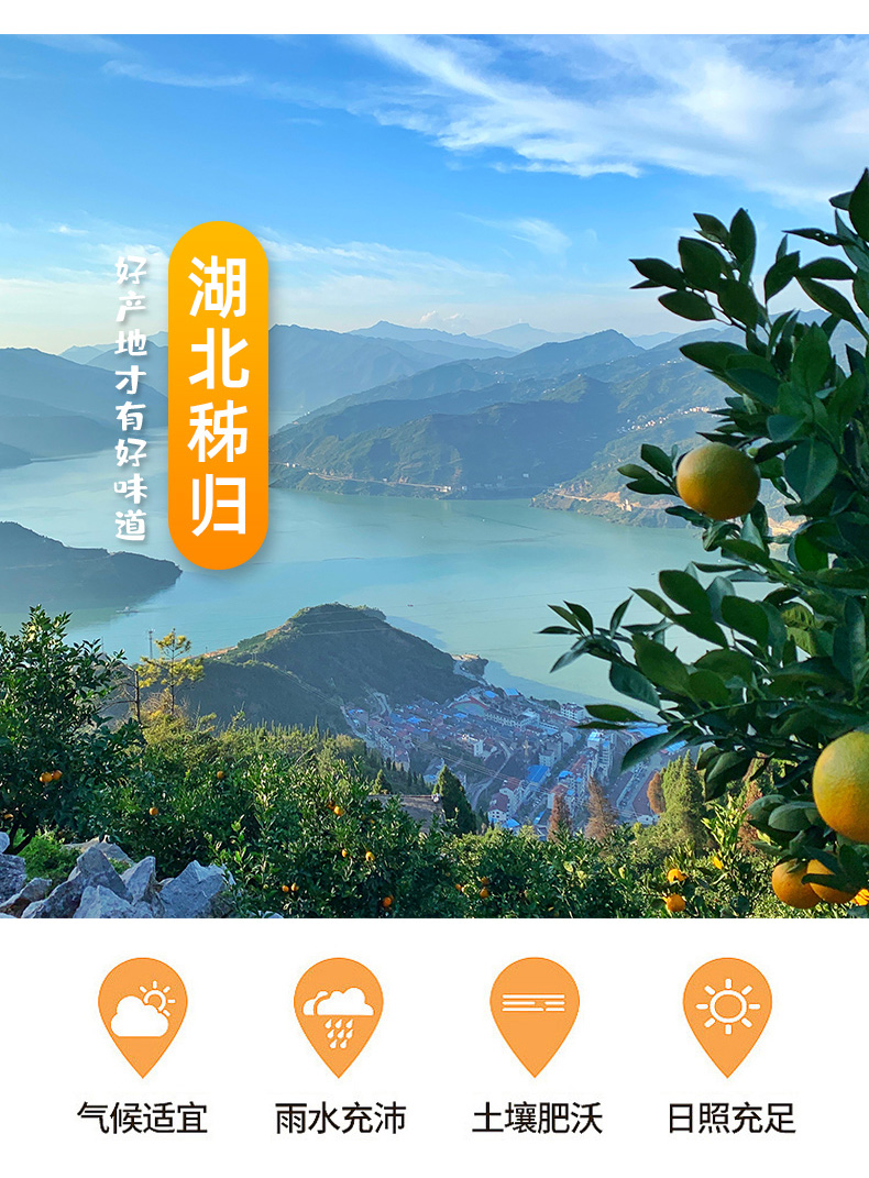 富硒蔬菜如何培育（富硒蔬菜怎么种植）-硒宝网