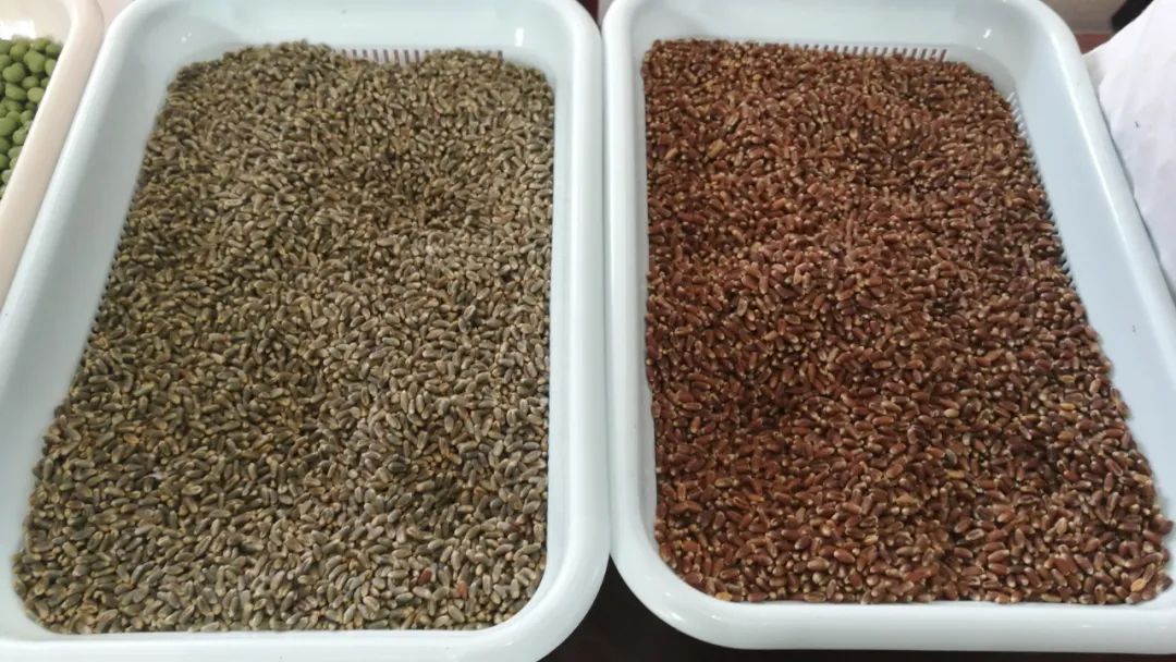 富硒蔬菜食品加盟(蔬菜加盟连锁店)-硒宝网