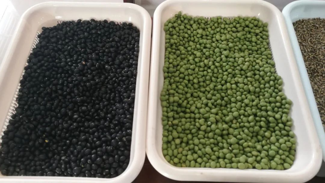 富硒蔬菜食品加盟(蔬菜加盟连锁店)-硒宝网