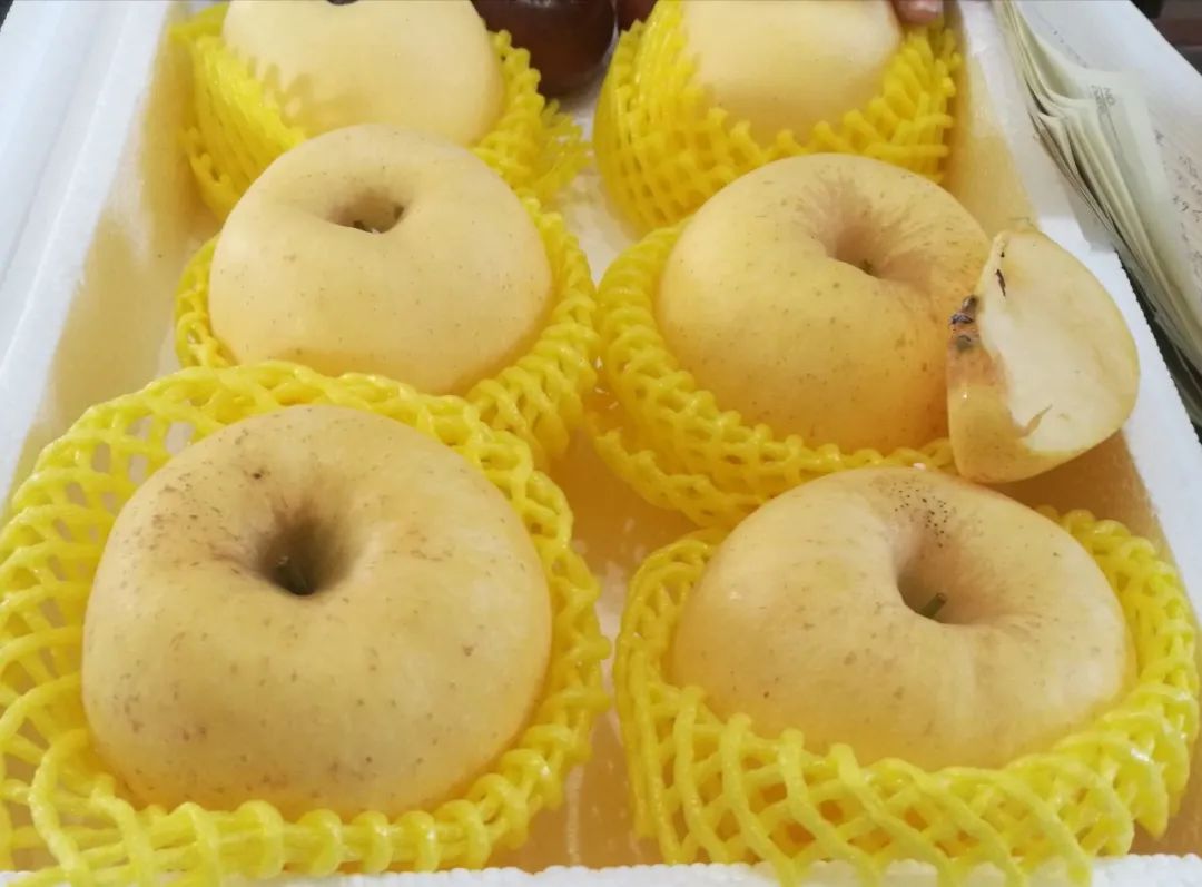 富硒蔬菜食品加盟(蔬菜加盟连锁店)-硒宝网