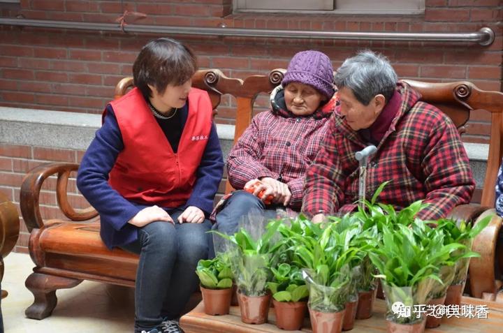 富硒蔬菜含量排名（蔬菜含硒一览表）-硒宝网