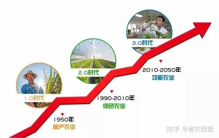 哪些属于富硒蔬菜（蔬菜属于富硒食物吗）-硒宝网