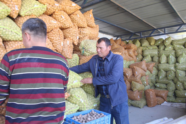 富硒蔬菜产业扶贫（蔬菜产业扶贫典型材料）-硒宝网