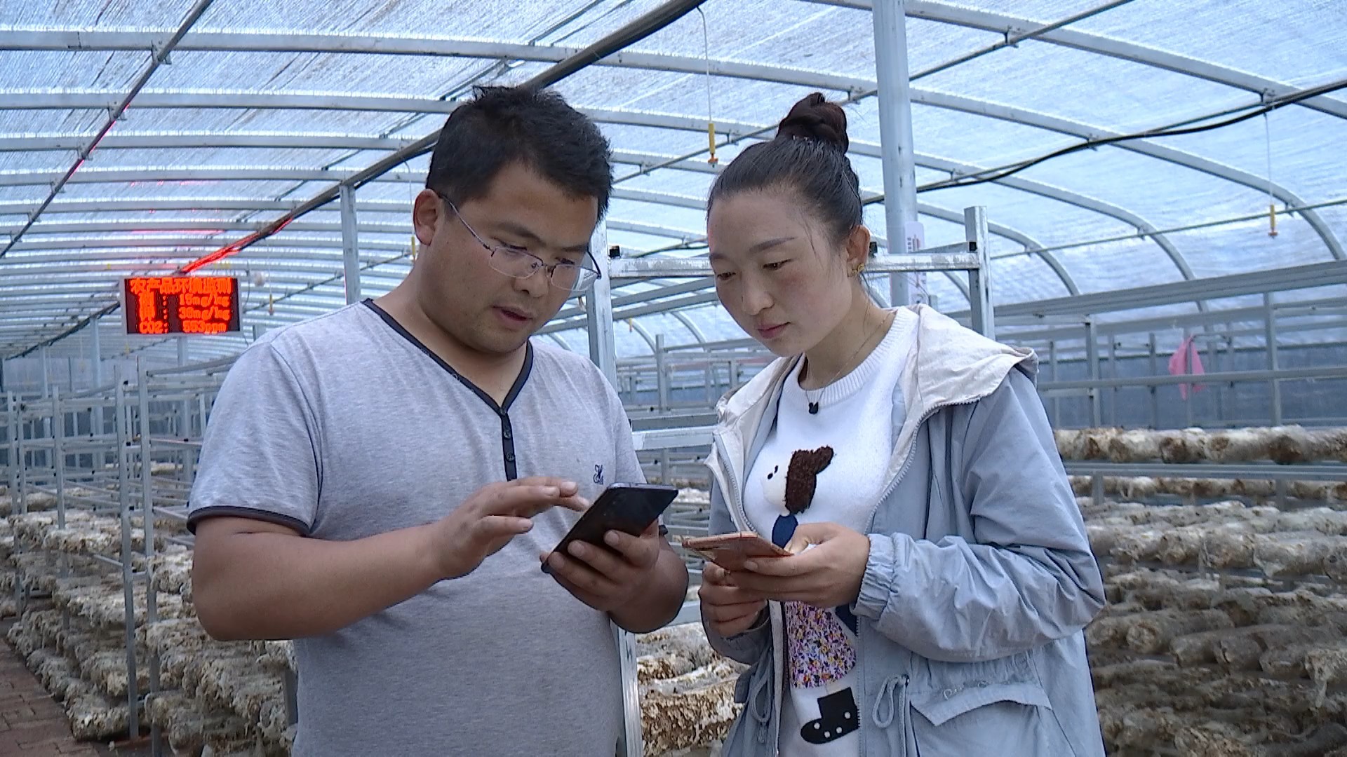 富硒蔬菜产业扶贫（蔬菜产业扶贫典型材料）-硒宝网