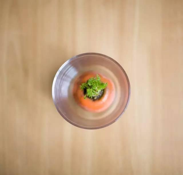 富硒水培蔬菜盆景(富硒蔬菜怎么种植)-硒宝网