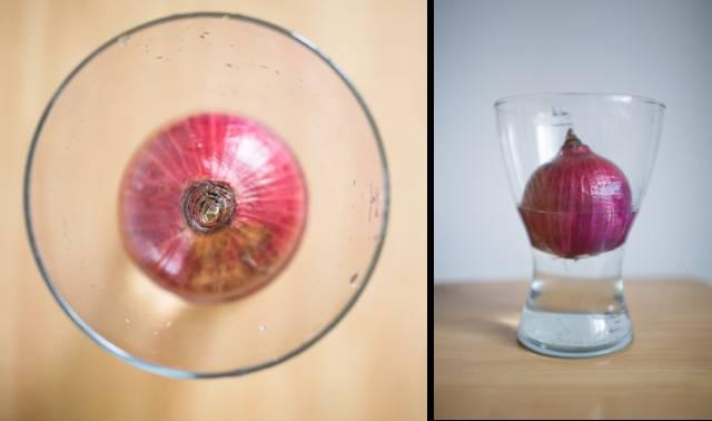 富硒水培蔬菜盆景(富硒蔬菜怎么种植)-硒宝网