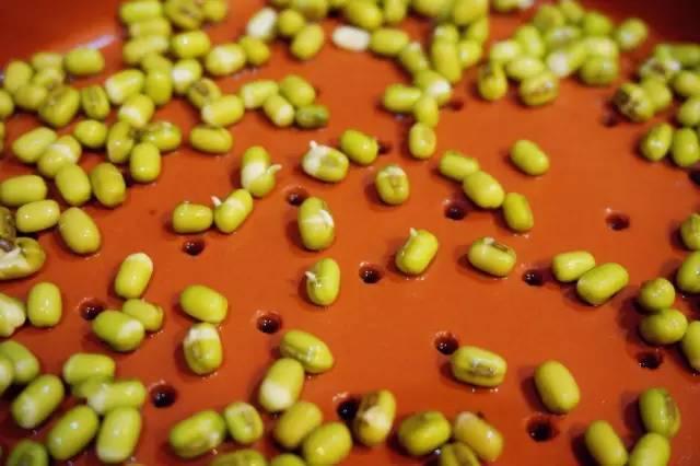 富硒水培蔬菜盆景(富硒蔬菜怎么种植)-硒宝网