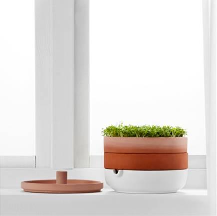 富硒水培蔬菜盆景(富硒蔬菜怎么种植)-硒宝网