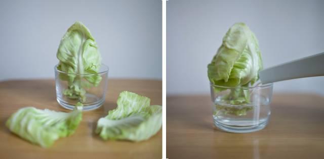 富硒水培蔬菜盆景(富硒蔬菜怎么种植)-硒宝网