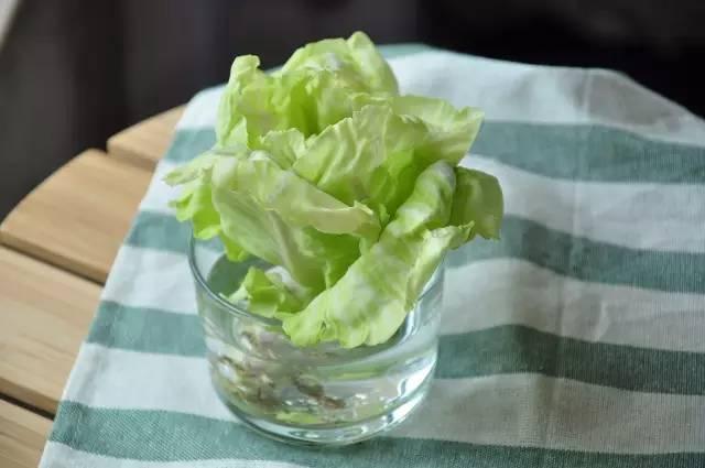 富硒水培蔬菜盆景(富硒蔬菜怎么种植)-硒宝网