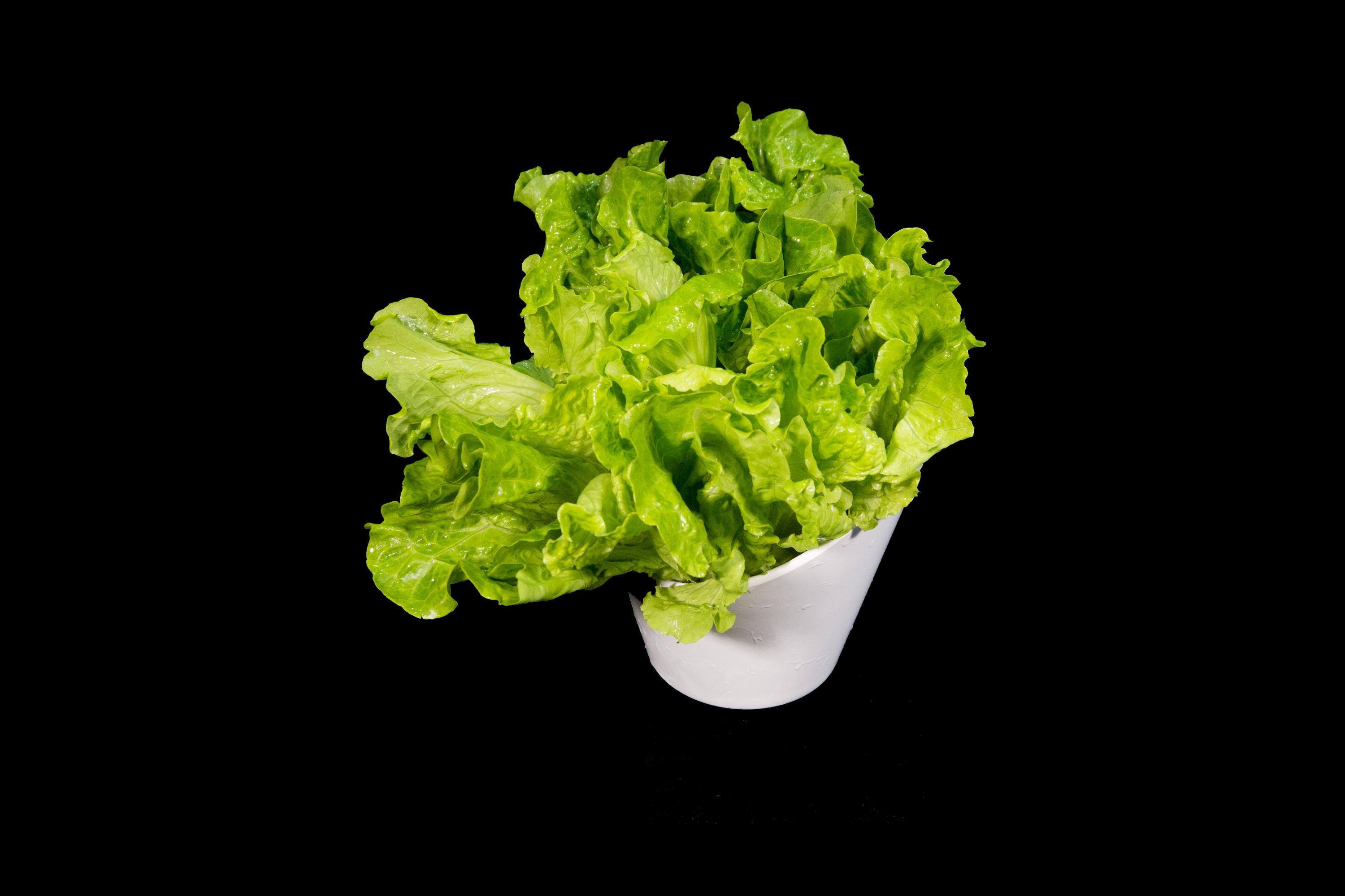 富硒蔬菜生产方案（富硒有机蔬菜）-硒宝网