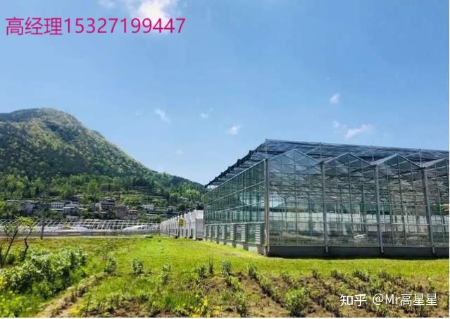 湖北恩施富硒蔬菜（湖北恩施富硒产品）-硒宝网