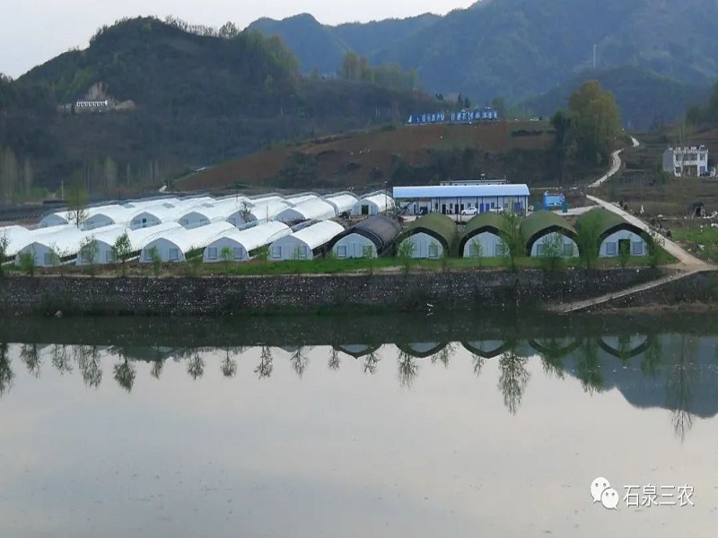 富硒蔬菜产业发展（蔬菜产业富硒发展趋势）-硒宝网