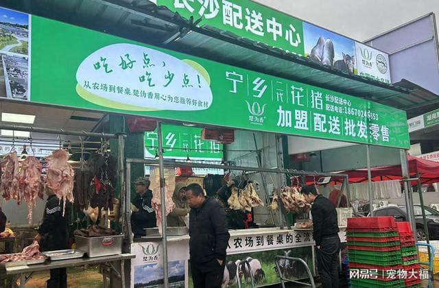 山东济宁富硒蔬菜(山东济宁蔬菜基地)-硒宝网