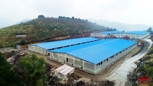 山东济宁富硒蔬菜(山东济宁蔬菜基地)-硒宝网