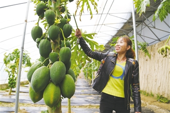 如何水培富硒蔬菜（富硒蔬菜为什么不能喷洒叶面肥）-硒宝网