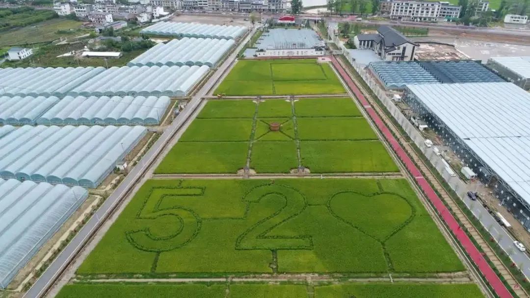 富硒蔬菜示范基地(蔬菜产业基地)-硒宝网