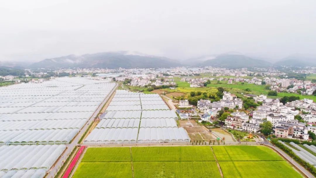 富硒蔬菜示范基地(蔬菜产业基地)-硒宝网
