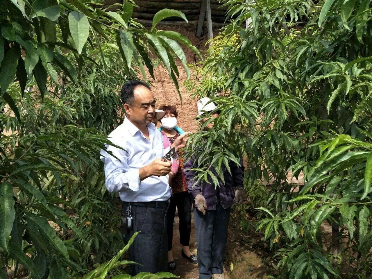 富硒蔬菜示范基地（富硒蔬菜产业园）-硒宝网