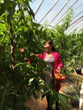 富硒蔬菜示范基地（富硒蔬菜产业园）-硒宝网