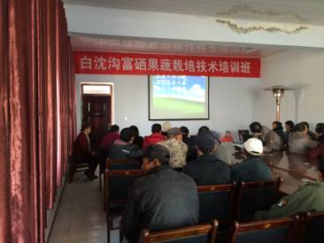 富硒蔬菜示范基地（富硒蔬菜产业园）-硒宝网