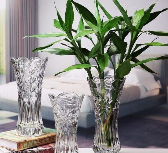 水培蔬菜富硒液肥（富硒冲施肥料）-硒宝网