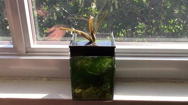 水培蔬菜富硒液肥（富硒冲施肥料）-硒宝网