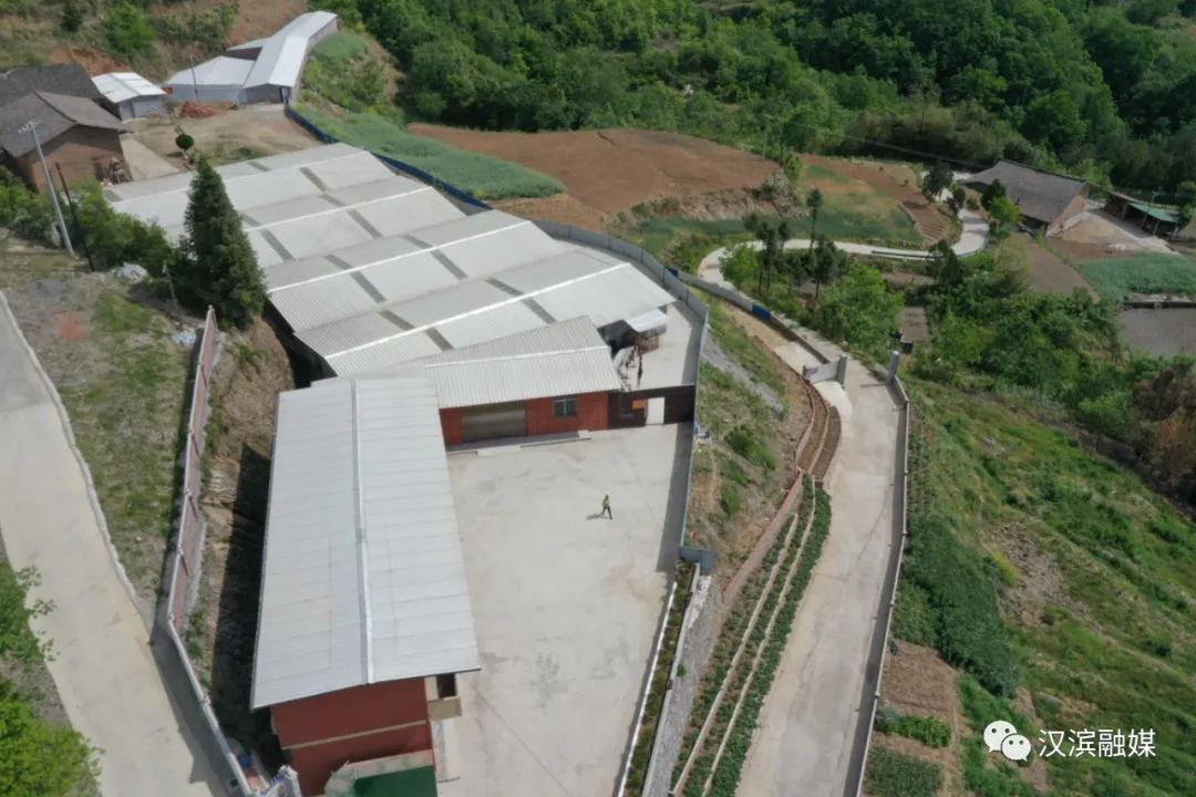 石狮富硒蔬菜工厂（富硒蔬菜多少钱一斤）-硒宝网