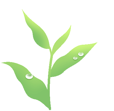 石狮富硒蔬菜工厂（富硒蔬菜多少钱一斤）-硒宝网