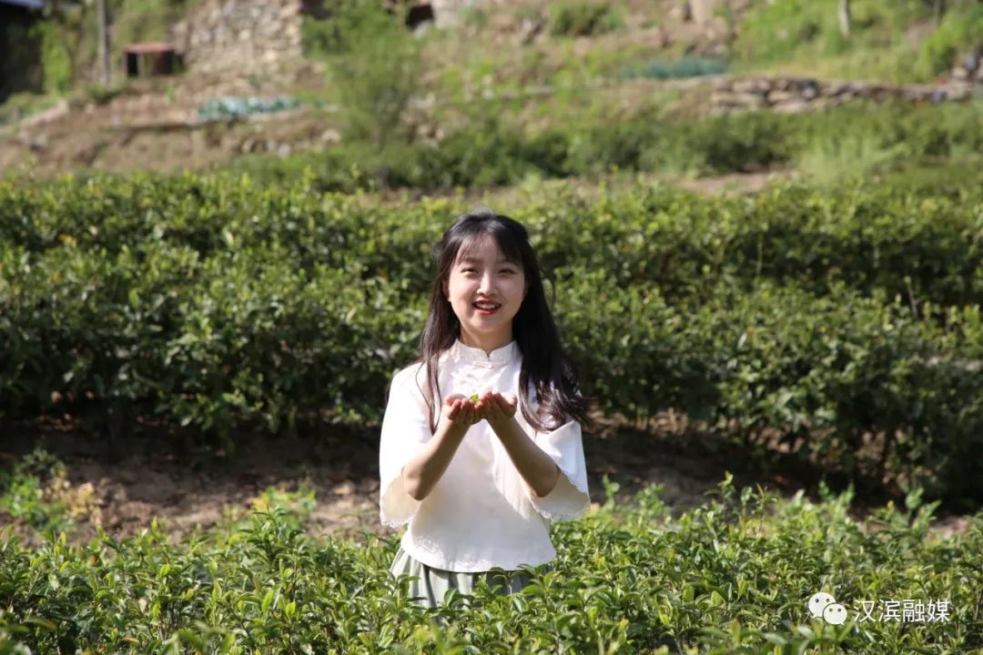 石狮富硒蔬菜工厂（富硒蔬菜多少钱一斤）-硒宝网