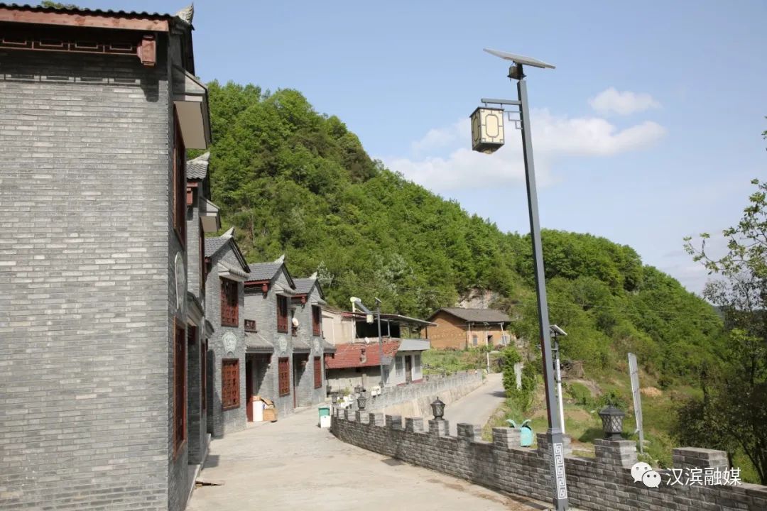 石狮富硒蔬菜工厂（富硒蔬菜多少钱一斤）-硒宝网