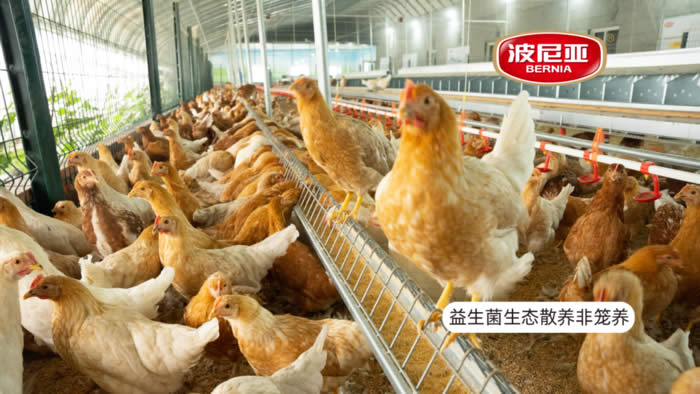 湖南富硒有机蔬菜(湖南富硒产品平台)-硒宝网