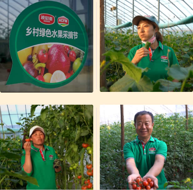 湖南富硒有机蔬菜(湖南富硒产品平台)-硒宝网