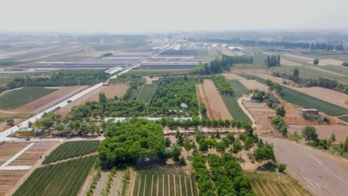 湖南富硒有机蔬菜(湖南富硒产品平台)-硒宝网